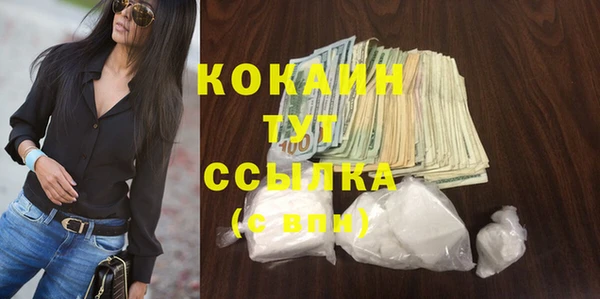 МДПВ Алзамай