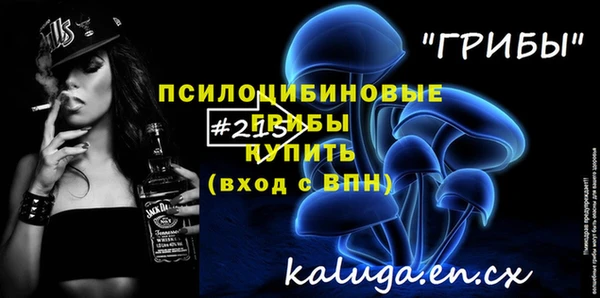 МДПВ Алзамай