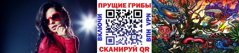 Купить закладки  Харовск  Галлюциногенные грибы MAGIC MUSHROOMS 